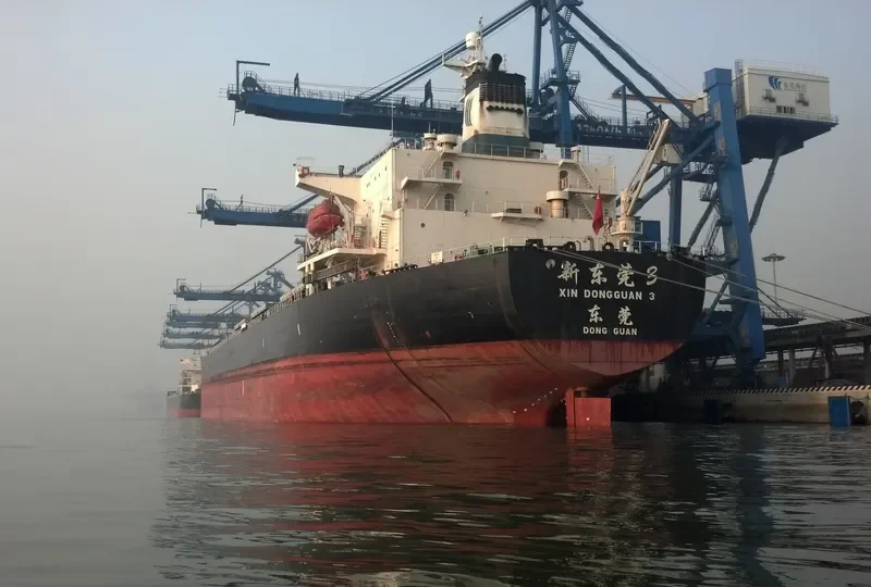 XIN DONG GUAN 3 Bulk Carrier IMO 9132961 photo 3