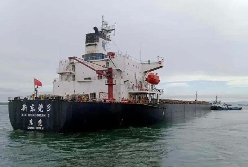 XIN DONG GUAN 3 Bulk Carrier IMO 9132961 photo 4