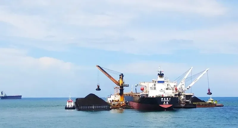 XIN DONG GUAN 3 Bulk Carrier IMO 9132961 photo 6