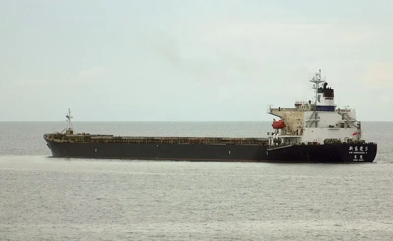 XIN DONG GUAN 3 Bulk Carrier IMO 9132961 photo 8