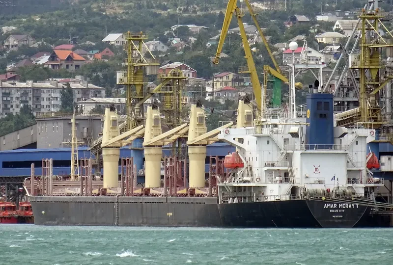 HARMONY SIX Bulk Carrier IMO 9133288