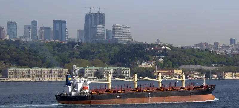 HARMONY SIX Bulk Carrier IMO 9133288 photo 4