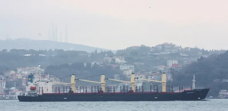 HARMONY SIX Bulk Carrier IMO 9133288 photo 5
