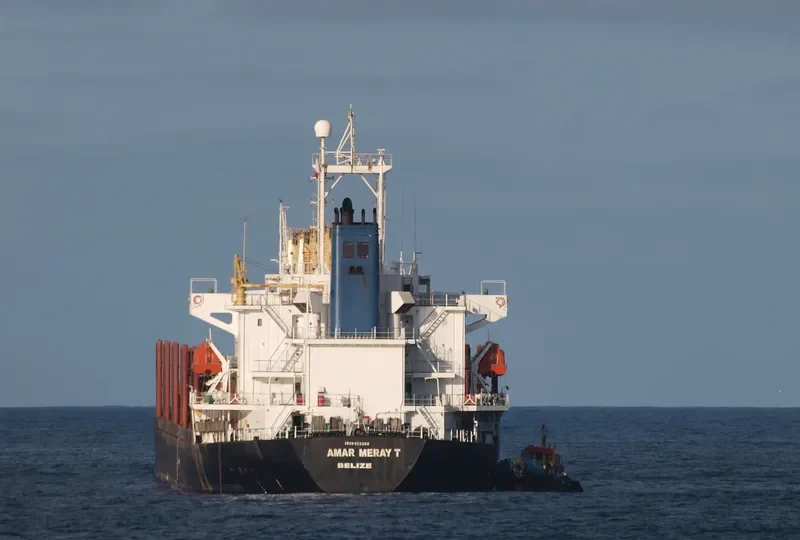 HARMONY SIX Bulk Carrier IMO 9133288 photo 6