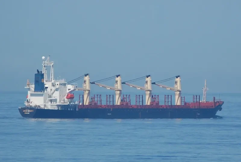 HARMONY SIX Bulk Carrier IMO 9133288 photo 7