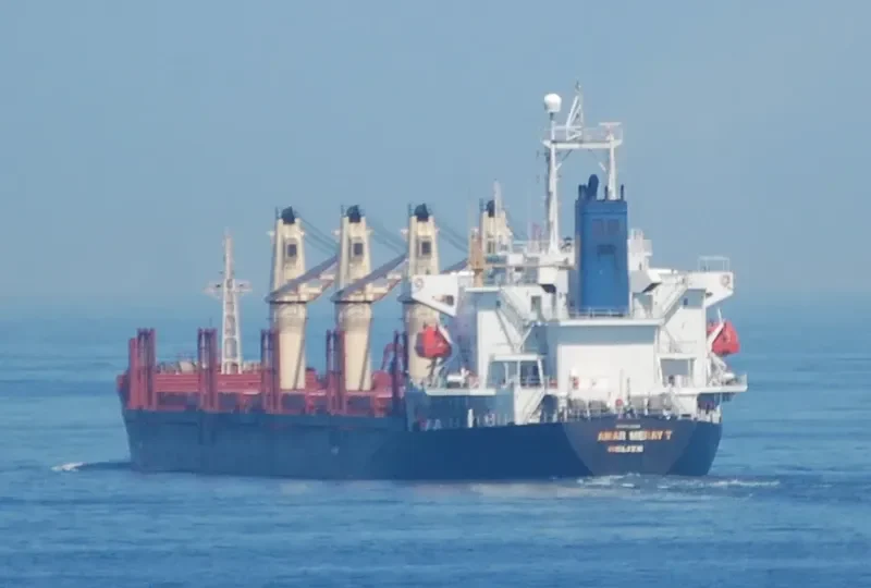 HARMONY SIX Bulk Carrier IMO 9133288 photo 8