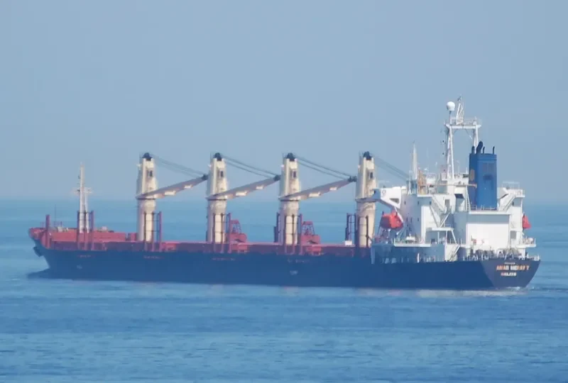 HARMONY SIX Bulk Carrier IMO 9133288 photo 9