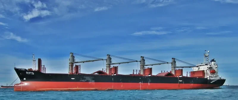 HARMONY SIX Bulk Carrier IMO 9133288 photo 10
