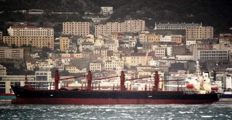 CATHERINA Bulk Carrier IMO 9133290