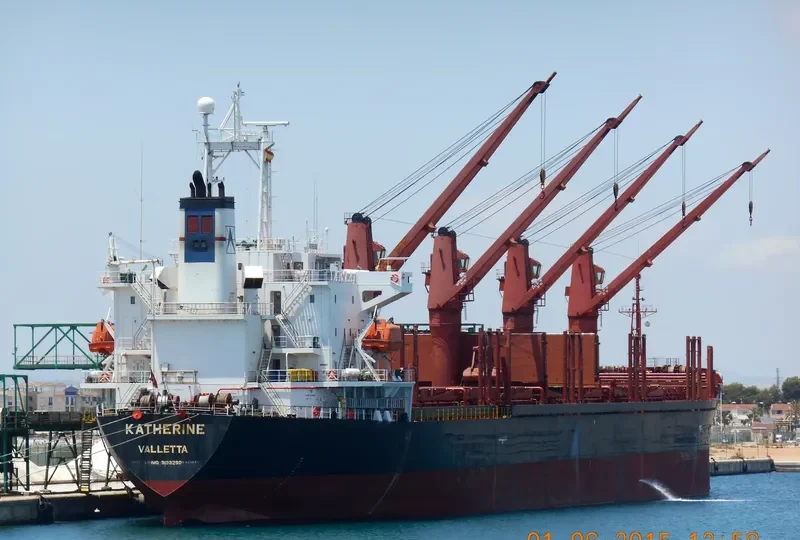 CATHERINA Bulk Carrier IMO 9133290 photo 2