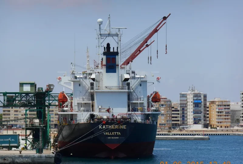CATHERINA Bulk Carrier IMO 9133290 photo 3