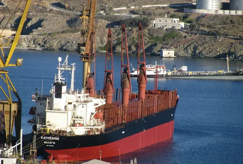 CATHERINA Bulk Carrier IMO 9133290 photo 7