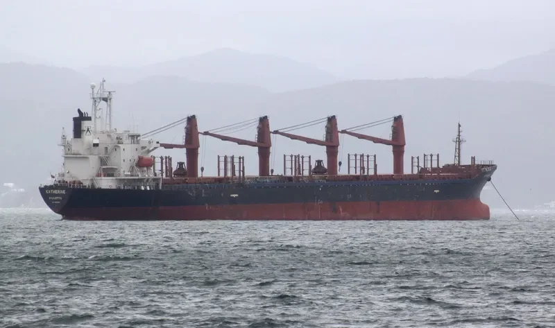 CATHERINA Bulk Carrier IMO 9133290 photo 10