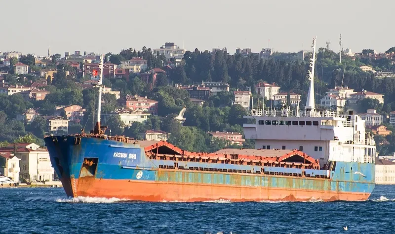 HABIBE ANA General Cargo IMO 9133355 photo 3