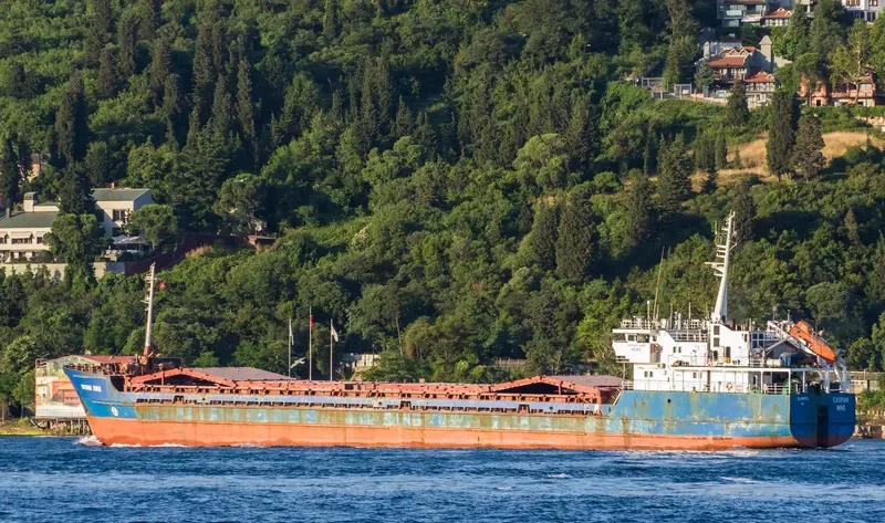 HABIBE ANA General Cargo IMO 9133355 photo 4