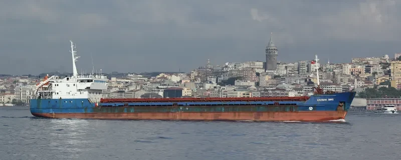 HABIBE ANA General Cargo IMO 9133355 photo 7
