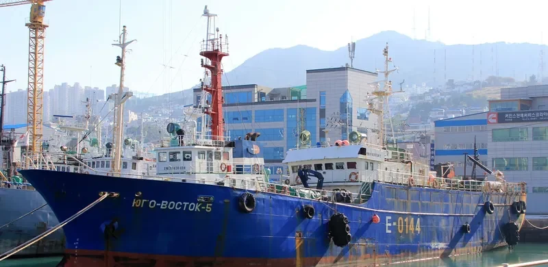 YUGO VOSTOCK 5 General Cargo IMO 9133381 photo 2