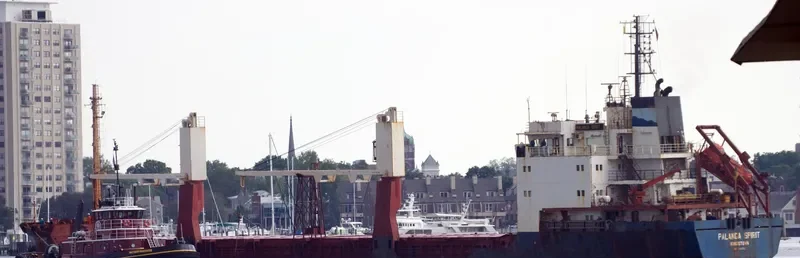 PALANGA SPIRIT General Cargo IMO 9133733 photo 4