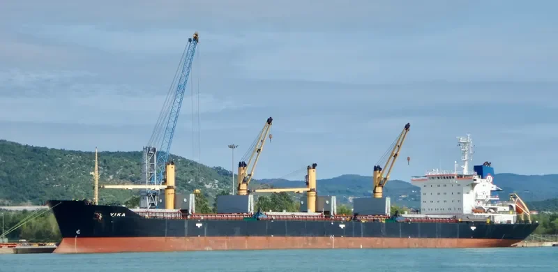 VIKA Bulk Carrier IMO 9133771 photo 2