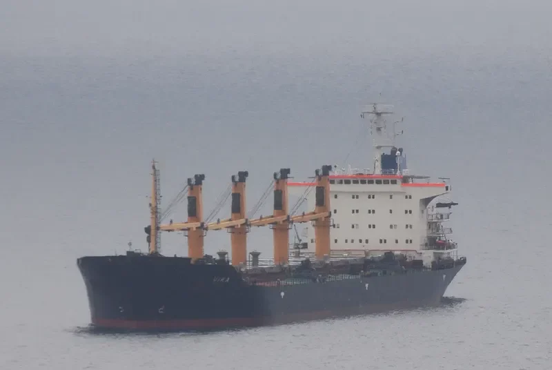 VIKA Bulk Carrier IMO 9133771 photo 3