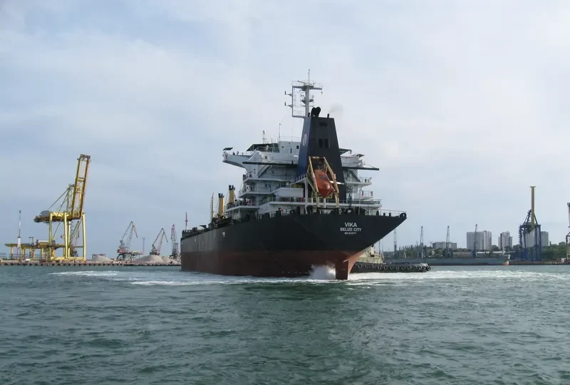 VIKA Bulk Carrier IMO 9133771 photo 6