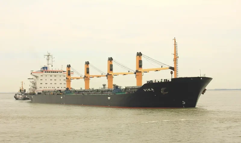 VIKA Bulk Carrier IMO 9133771 photo 7