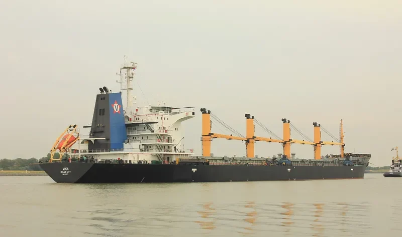 VIKA Bulk Carrier IMO 9133771 photo 8