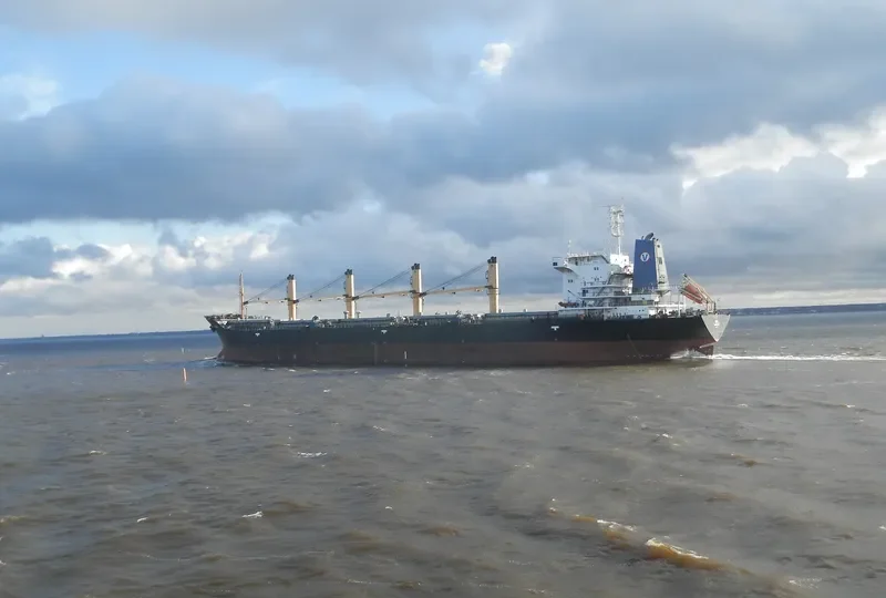 VIKA Bulk Carrier IMO 9133771 photo 9