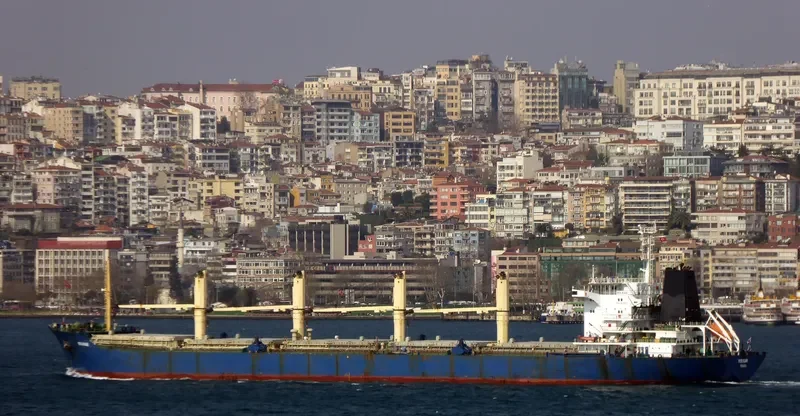 BOLKAR Bulk Carrier IMO 9133783 photo 4