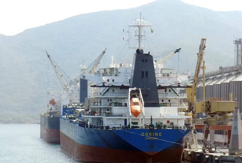 BOLKAR Bulk Carrier IMO 9133783 photo 5