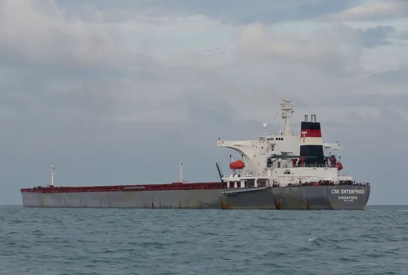 ENTERPRISE Bulk Carrier IMO 9133862 photo 2