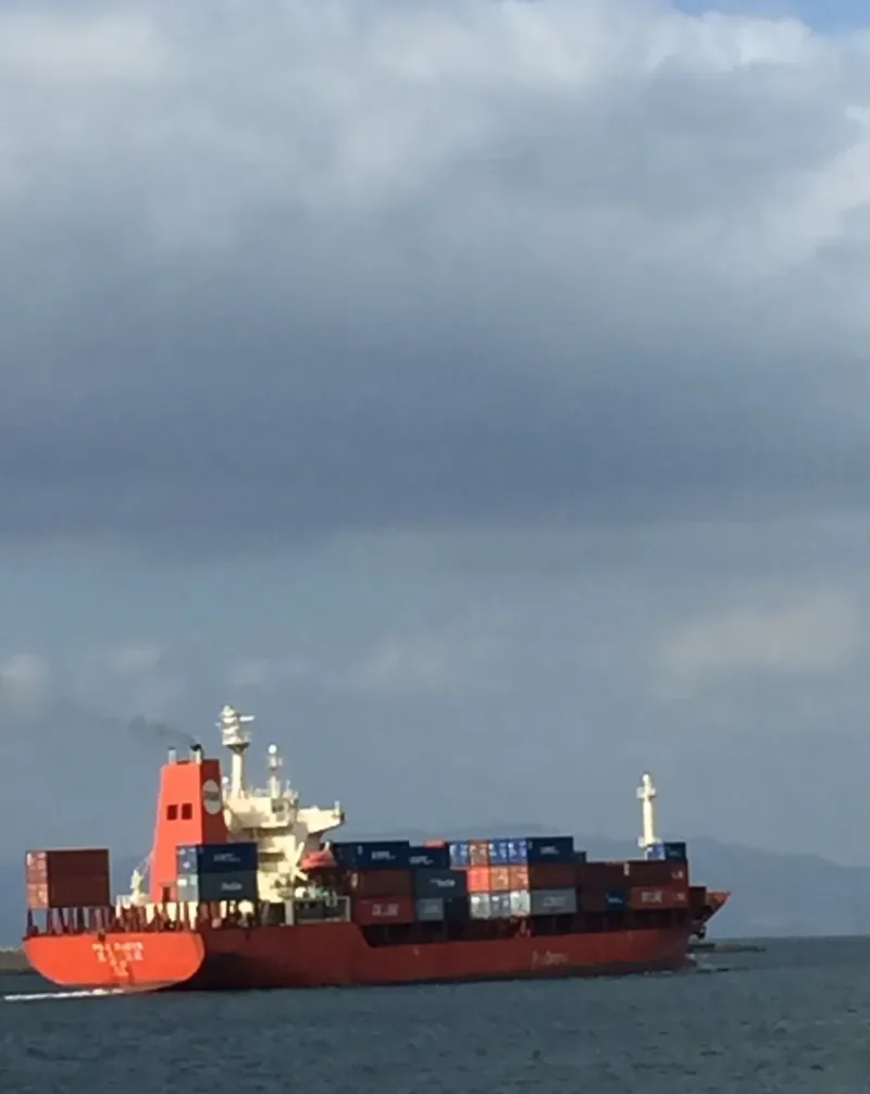 POS TOKYO Container Ship IMO 9133874 photo 6