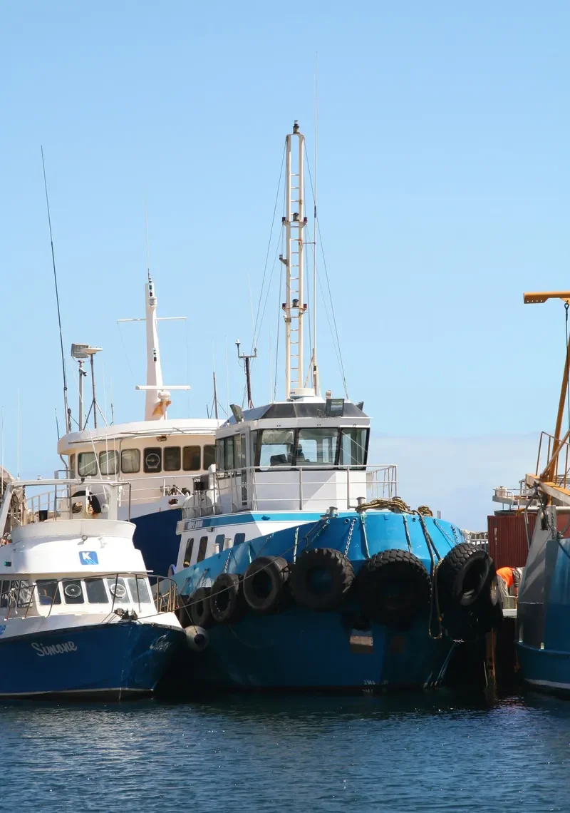 CAPE ARID General Cargo IMO 9134000 photo 7