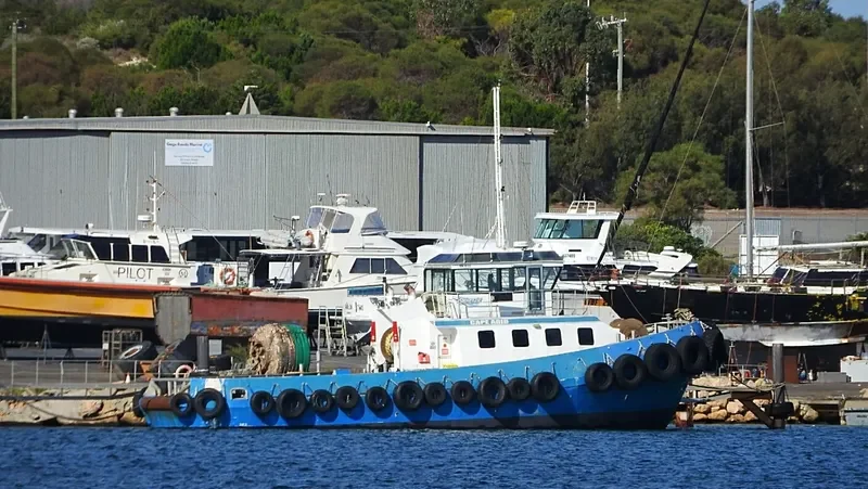 CAPE ARID General Cargo IMO 9134000 photo 9