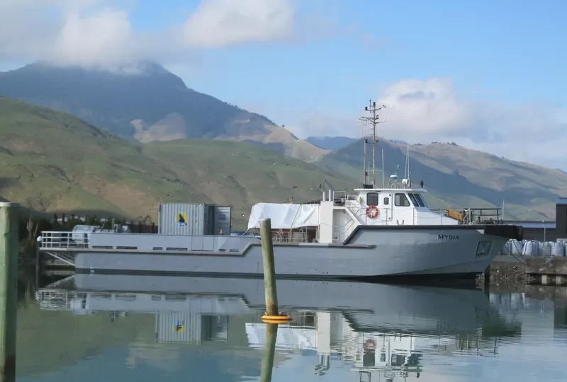 MERMAID RESOURCE Offshore Vessel IMO 9134024 photo 3