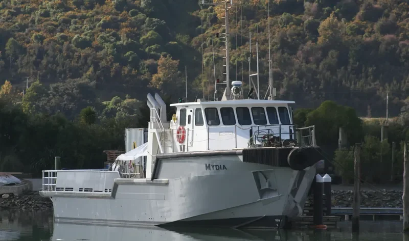 MERMAID RESOURCE Offshore Vessel IMO 9134024 photo 4