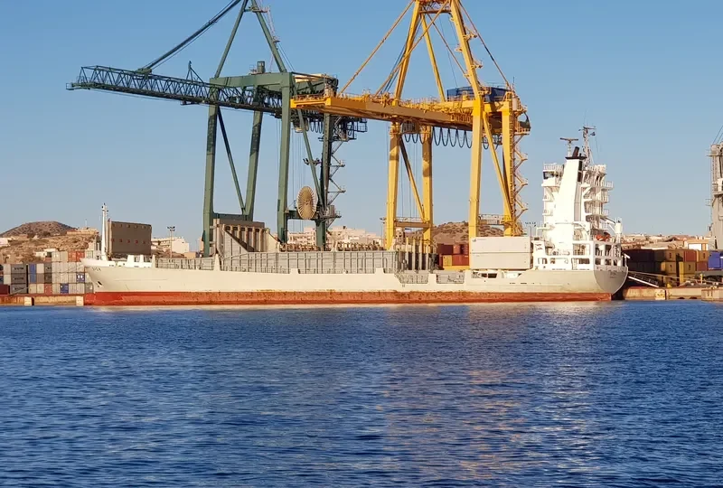 DUBAI ALLIANCE Container Ship IMO 9134139