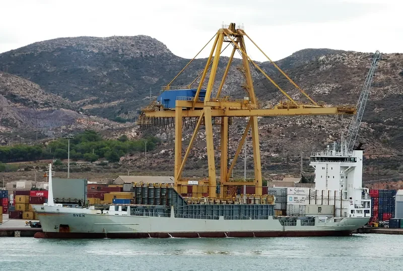 DUBAI ALLIANCE Container Ship IMO 9134139 photo 9