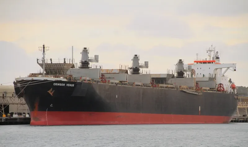 GREEN WORLD Bulk Carrier IMO 9134177 photo 2