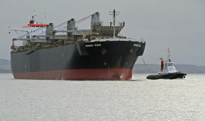 GREEN WORLD Bulk Carrier IMO 9134177 photo 3