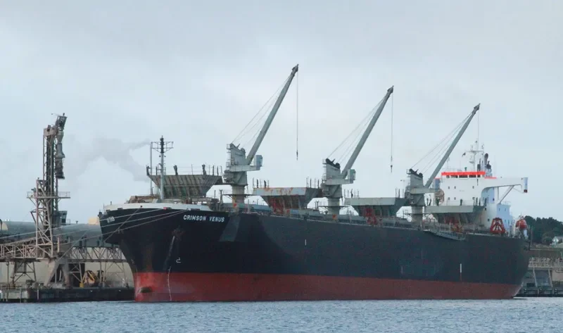 GREEN WORLD Bulk Carrier IMO 9134177 photo 5