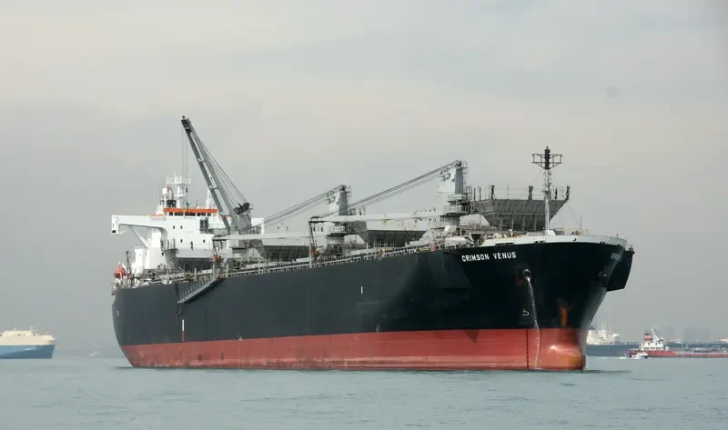 GREEN WORLD Bulk Carrier IMO 9134177 photo 6