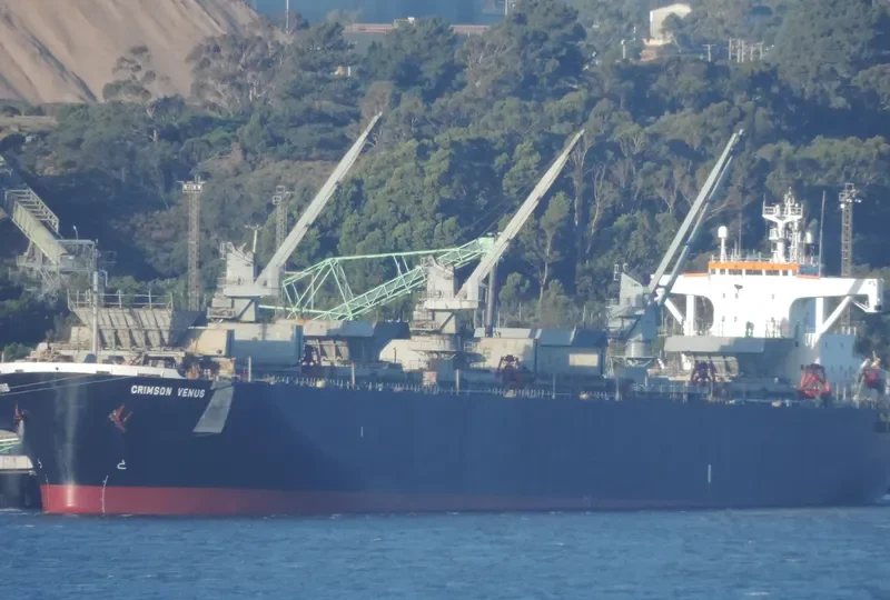 GREEN WORLD Bulk Carrier IMO 9134177 photo 7