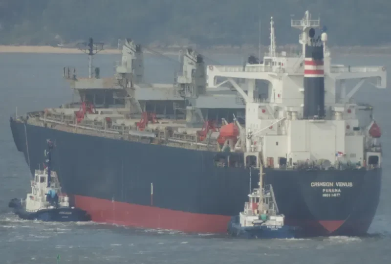 GREEN WORLD Bulk Carrier IMO 9134177 photo 8