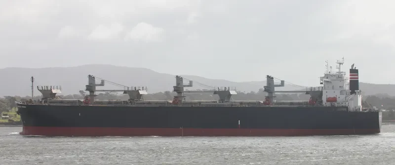 GREEN WORLD Bulk Carrier IMO 9134177 photo 9