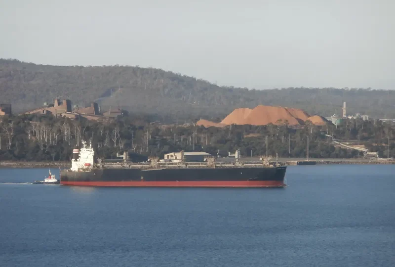 GREEN WORLD Bulk Carrier IMO 9134177 photo 10