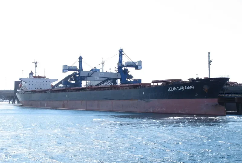 BEI LUN HAI 81 Bulk Carrier IMO 9134189