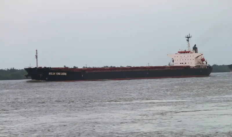 BEI LUN HAI 81 Bulk Carrier IMO 9134189 photo 2