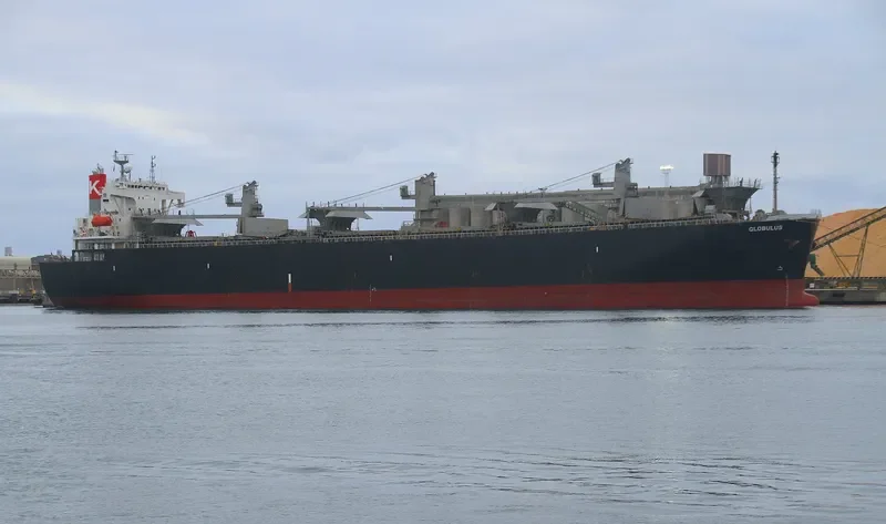 GLOBULUS Bulk Carrier IMO 9134191