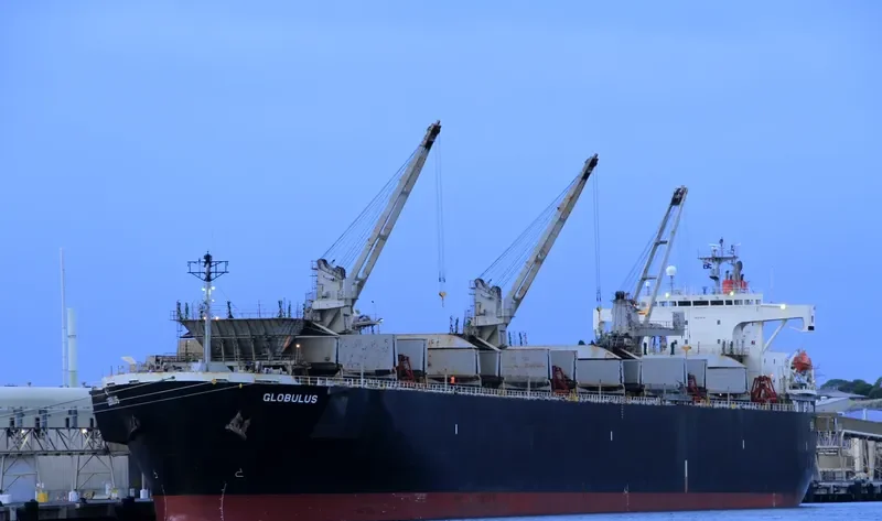 GLOBULUS Bulk Carrier IMO 9134191 photo 4